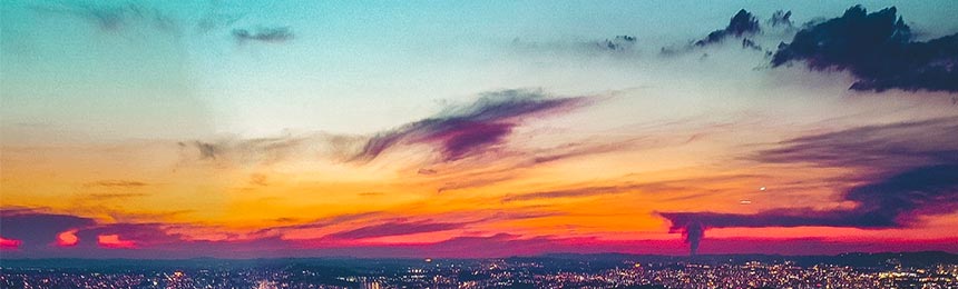 福鼎茶虫网_福鼎品茶